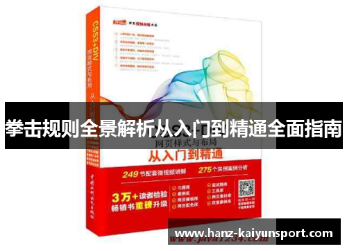 拳击规则全景解析从入门到精通全面指南