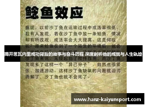揭开恩瓦内里成功背后的故事与奋斗历程 深度剖析他的成就与人生轨迹