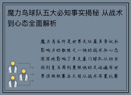 魔力鸟球队五大必知事实揭秘 从战术到心态全面解析
