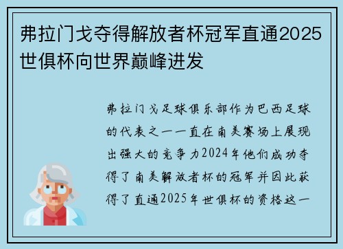 弗拉门戈夺得解放者杯冠军直通2025世俱杯向世界巅峰进发 弗拉门戈夺得解放者杯冠军直通2025世俱杯向世界巅峰进发
